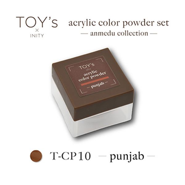 TOY's × INITY アクリルパウダー アンメデューコレクション パンジャブ T-CP10 7g