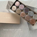 NOVEL SET082 Vernis chrom powder ノヴェル ヴェルニクロムパウダー 10色SET