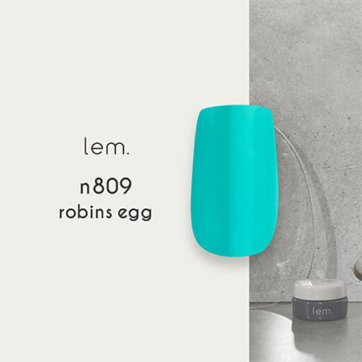 lem.(レム) カラージェル n809 ロビンスエッグ 3g lem.(レム) カラージェル n809 ロビンスエッグ 3g