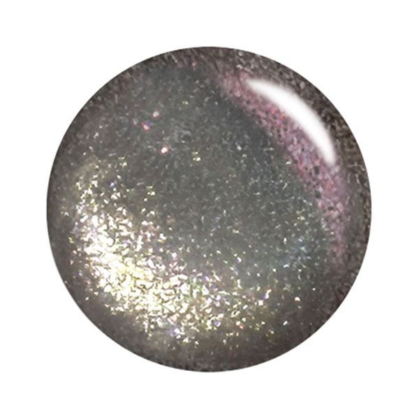 T-GEL カラージェル MG021 シャイニーライトブラック