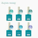 【5/1限定 ポイント5倍】TOY's × INITY アクアマグ T-AQST6 6色セット