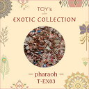 TOY's × INITY エキゾチックコレクション ファラオ EX-03