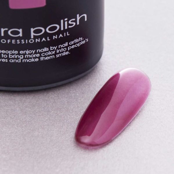 パラポリッシュ カラージェル F073 ベリーグレープ【トップ機能なし】