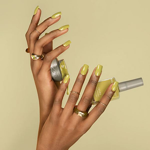 バイオスカルプチュアジェル カラージェル 308 フィールザヴェルト 4.5g