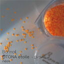【5/1限定 ポイント5倍】Bonnail OTONA etoile(オトナ エトワール) electron(エレクトロン)