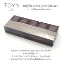 TOY's INITY アクリルカラーパウダー ラフィームコレクション 10色セット