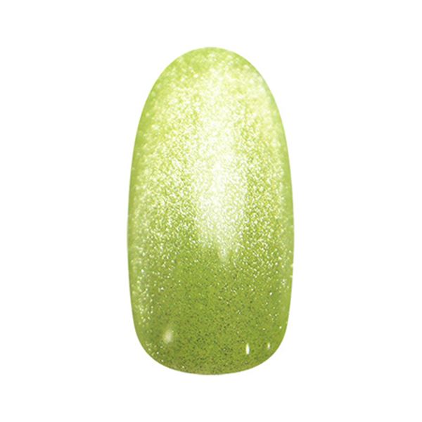 ネイルパフェ マグネットジェル MG6 シュワグリーン 2g