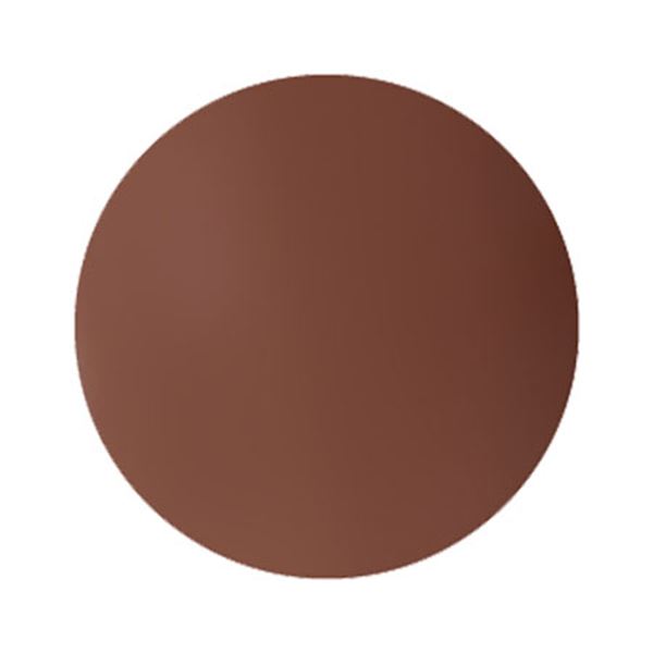 プリジェル カラーEX ブリックロゼ PG-CE960 3g