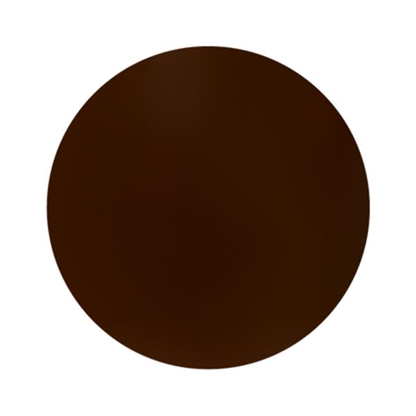 プリジェル カラーEX ダークアンバー PG-CE951 3g