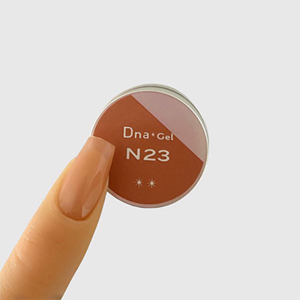 Dna Gel(ディーナジェル) カラージェル N23 ナツハゼ 2.5g