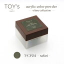 TOY's × INITY アクリルカラーパウダー オリーミーコレクション CP24 サファリ 7g