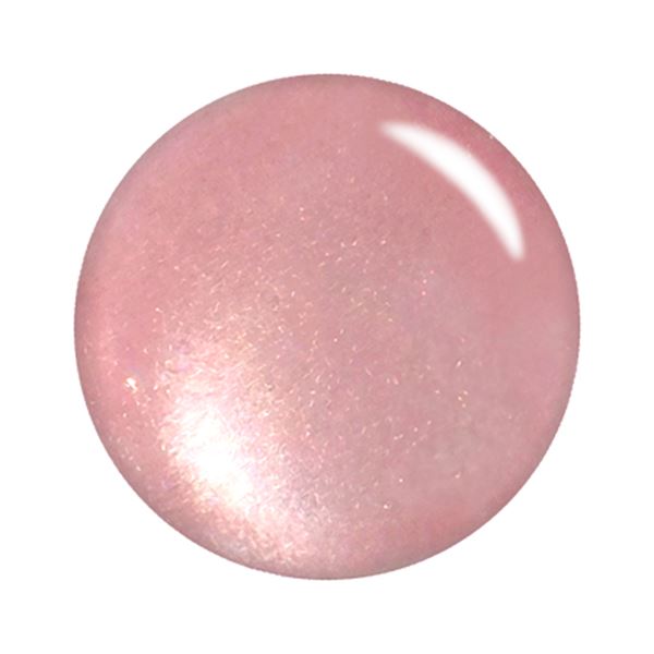 【2/1限定 ポイント5倍】T-GEL カラージェル MG-SS005 マグネット ブラッシュベリー 4ml