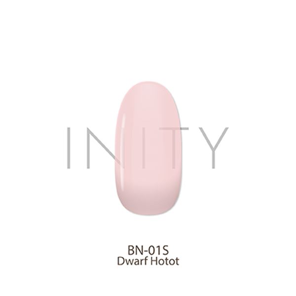 アイニティ ハイエンドカラー BN-01S ドワーフホト 3g