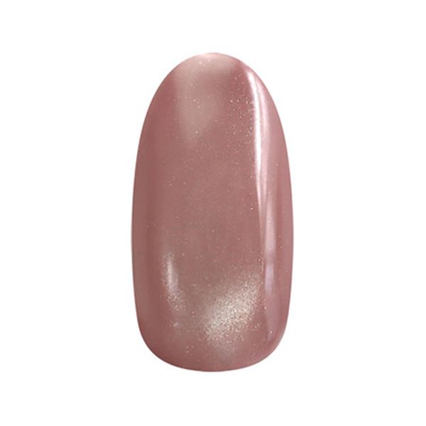 ネイルパフェ カラージェル workday MG23 2g