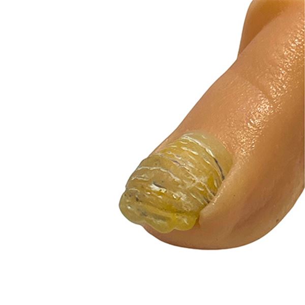 ネイル用品　nailstudyのレジスタンスプレート 肥厚爪シリコンモールド｜アングル3