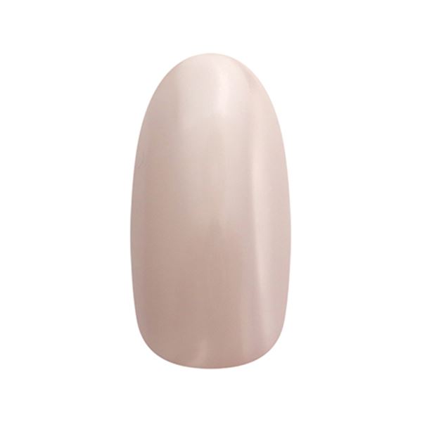 ネイルパフェ カラージェル シアーニュアンス 202 2g