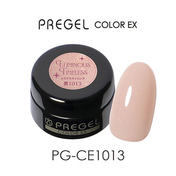 プリジェル カラーEX ルミナスタイムレス PG-CE1013 3g