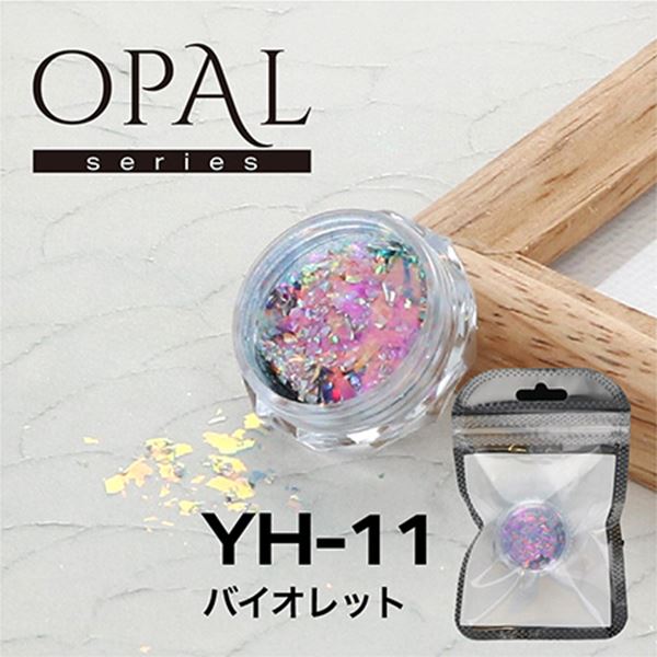B.N. OPAL オパールシリーズ バイオレット YH-11