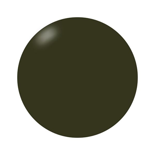 プレスト アンリミテッドカラー CA017 2.7g