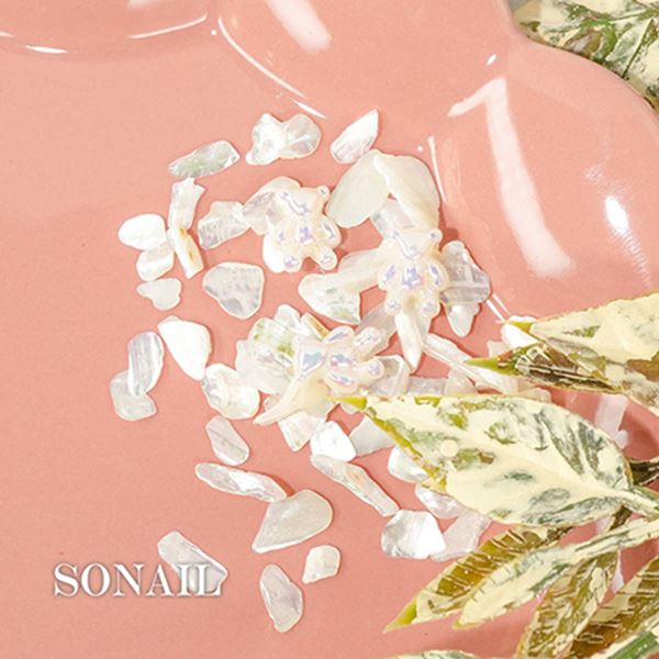 ネイル用品 nailstudyのSONAIL シャイニーテディ・シェルMIX ホワイト FY002319｜アングル2