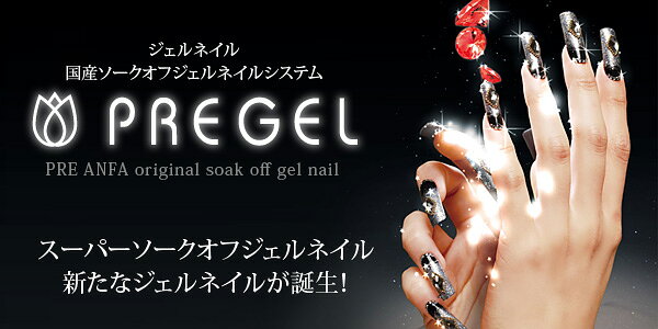 ネイル用品 nailstudyのジェルネイルセット プリジェル 基本セットII｜アングル2