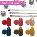 カラージェルセットvol.1 DailyGel 3g 6色セット ネイルブラシ付き