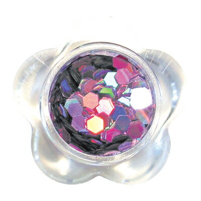 ネイルアート ラメ ホログラム グリッター BEAUTY NAILER ビューティーネイラー BN ラメラメ FG-14 ホログラムライラック L