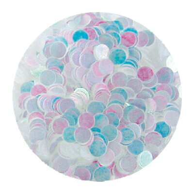 ネイルアート ラメ ホログラム グリッター erikonail エリコネイル JC ERI-123 パステルパール ホワイ..