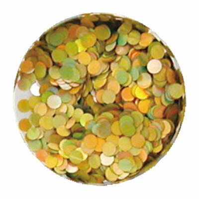 ネイルアート ラメ ホログラム グリッター erikonail エリコネイル JC ERI-71 ホロゴールドレインボー ..