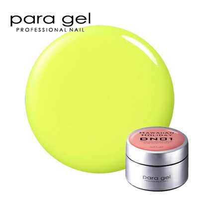 ジェルネイル カラージェル パラジェル para gel デザイナーズカラージェル DNE04 ライムイエロー