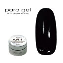 ジェルネイル カラージェル パラジェル para gel アートカラージェル AR10ブラック