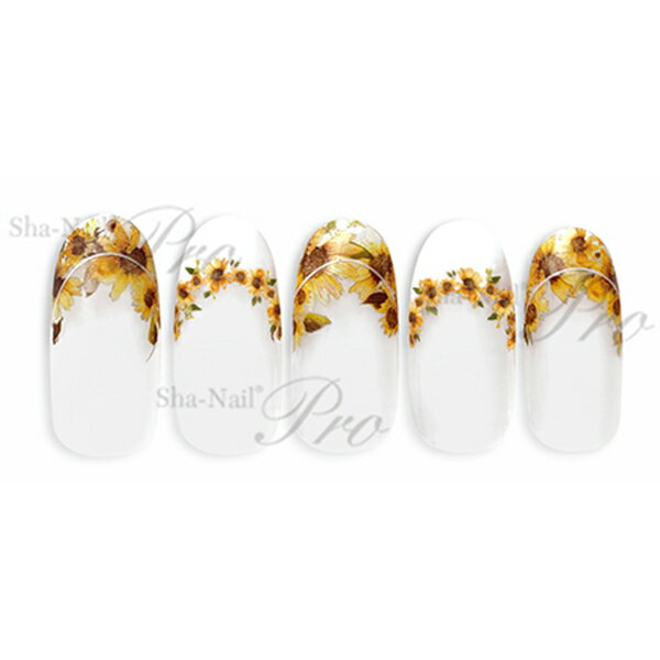 �ͥ��륷���� �̥ͥ���Plus �ե��� ����ե�