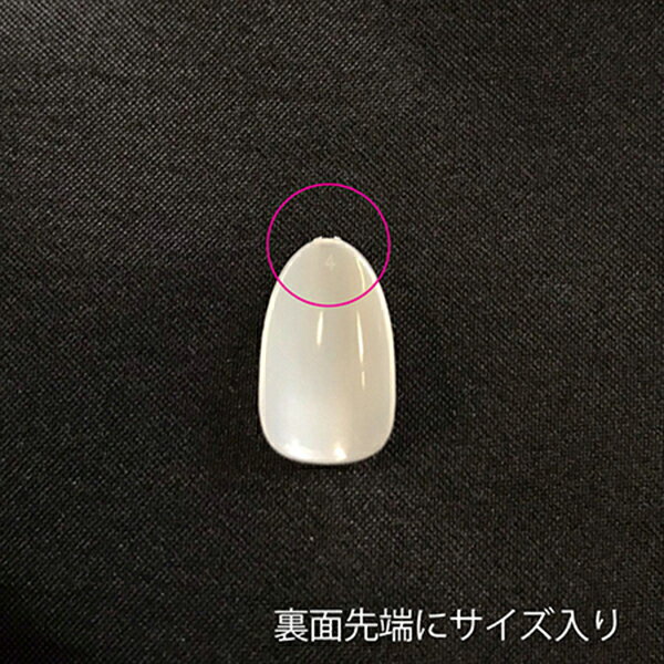 BEAUTY NAILER エコチップス オーバル #7 ECT2-7 50P