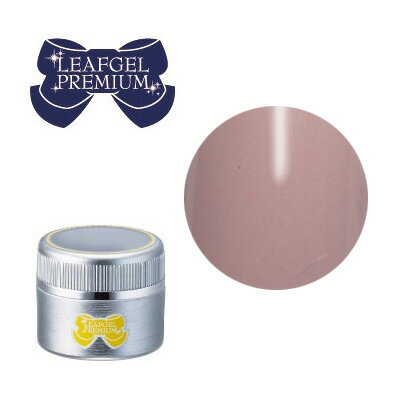 ジェルネイル カラージェル リーフジェル プレミアム カラージェル 419 レゾン・ニュアージュ 4g N