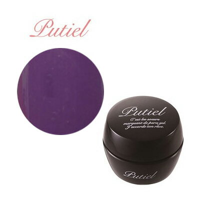 ジェルネイル カラージェル プティール カラージェル 109 オリエンタルパープル 2g