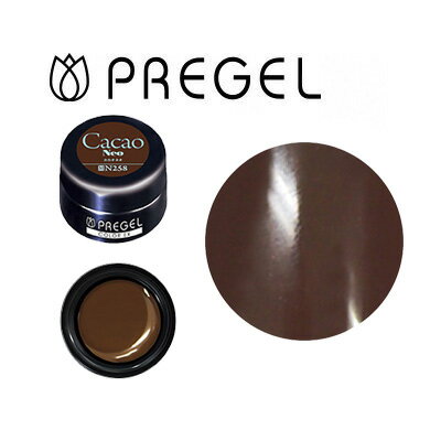 ジェルネイル カラージェル プリジェル　カラーEX　カカオneo　PG-CEN258　3g