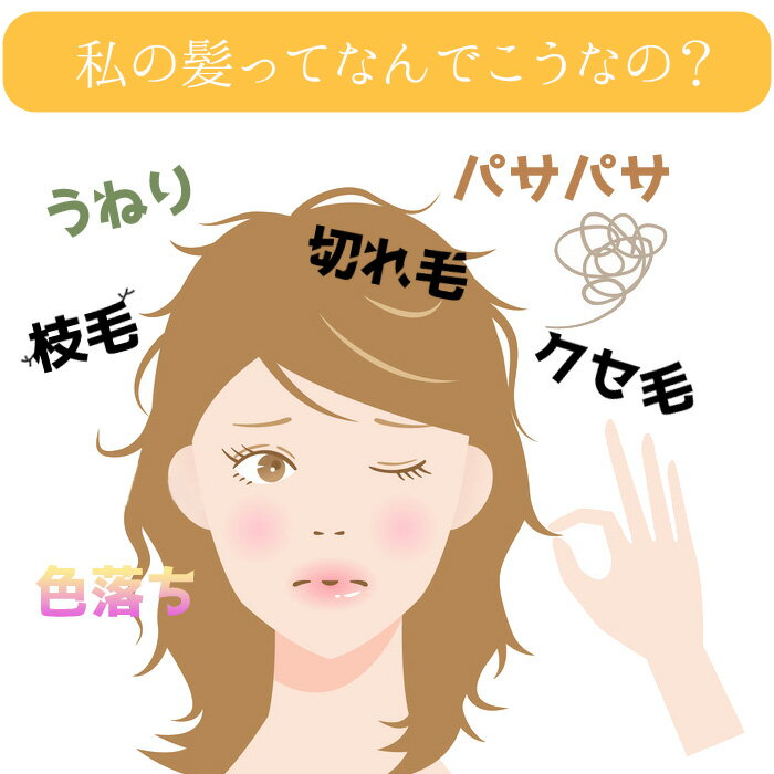 ＼1000円ポッキリ 送料無料 20倍 / シ...の紹介画像2