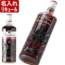 名入れ リキュール 【 ゴードン・スロージン 26% 700ml】GORDONS 父の日 お誕生日 還暦祝い 名前入り 名入れ彫刻 （ ギフト 贈答 プレゼント ） 送料無料 母の日 父の日 最短 結婚祝い 即日発送