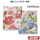 ポイント10倍【送料無料】nishikawa 西川 ニューマイヤー毛布