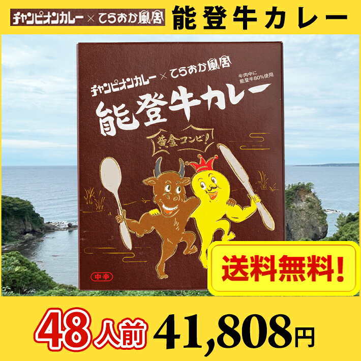 【送料無料】48人前 金沢カレー チャンピオンカレー × てらおか風舎　能登牛カレー レトルトカレー 48食 ケース販売 2ケース/ カレー カレールゥ ルー 濃厚 おいしい レトルト naire-donya-10002417 MARUCHUU サンプル画像2