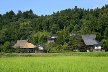 【精米】【令和2年産】北陸・石川県産 ひゃくまん穀 5kg 送料無料!!(北海道、沖縄、離島は別途700円かかります。)