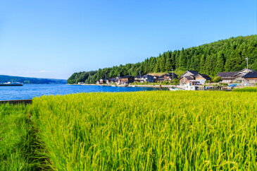 【精米】【令和2年産】北陸・石川県産 ひゃくまん穀 5kg 送料無料!!(北海道、沖縄、離島は別途700円かかります。)