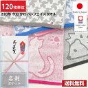 【送料無料】120枚単位 粗品タオル 【名刺ポケット付きビニール】 日本製 今治タオル 220匁 ネコ・ハリネズミ かわいいフェイスタオル / 今治 タオル フェイスタオル フェイス まとめ買い 国産 ねこ 猫 はりねずみ 粗品 御年賀 お年賀 ご挨拶 あいさつ 御多織る 引越し 記念