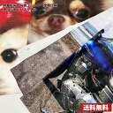 業界最安値 1枚2480円〜 オリジナルプリント バスタオル 全面印刷 昇華転写プリント 写真プリント イラストプリント 送料無料 OPP個包装 自分でデザイン...