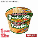 【期間限定特売】 日清 デカうま きつねうどん(106g) 12食入り 1ケース 送料無料(北海道は別途700円かかります。沖縄配送不可) / カップ麺