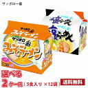 【期間限定特売】サンヨー食品 サッポロ一番 5食入り×12袋(合計60食) 送料無料(北海道は別途700円かかります。沖縄配送不可) / 袋めん みそ 塩