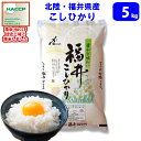 【令和6年産】【精米】コシヒカリ発祥の地 北陸・福井県産こしひかり(水仙)5kg 送料無料!!(北海道は別途700円かかります。 沖縄配送不可。)