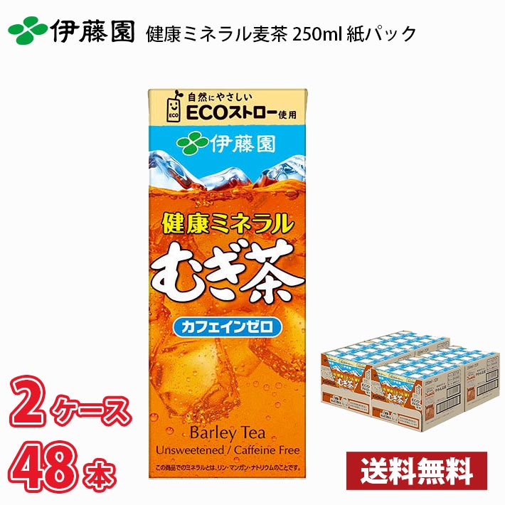 伊藤園 健康ミネラル麦茶 250ml 紙パック 48本 （24本×2ケース） 送料無料!!(北海道別途700円、沖縄県配送不可) / お茶 麦茶