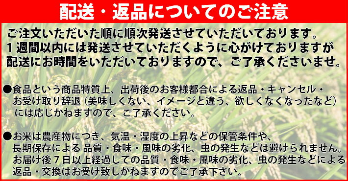 【精米】100％国内産コシヒカリ まんまこしひかり 10kg　令和6年産・令和7年産混合...