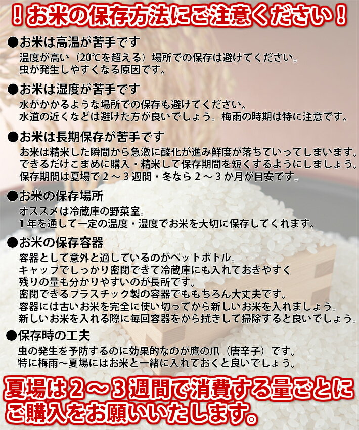 【精米】100％国内産コシヒカリ まんまこしひかり 10kg　令和6年産・令和7年産混合...